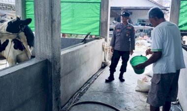 Perhatikan-Kualitas-Ternak-Sapi,-Dukung-Peningkatan-Gizi-Masyarakat