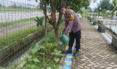Dukung-Ketahanan-Pangan-Polresta-Sidoarjo-Kelola-Hidroponik-dan-Kolam-Ikan