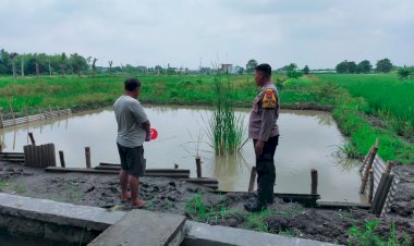 Polsek-Sukodono-Cek-Budidaya-Ikan-Mujaer-Wujudkan-Ketahanan-Pangan-Polresta-Sidoarjo