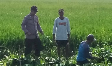 Warga-Desa-Kemantren-Tanam-Sayuran-di-Pekarangan-Pangan-Bergizi,-Bhabinkamtibmas-Lakukan-Pendampingan