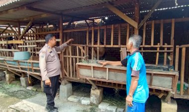 Ketahanan-Pangan-Lewat-Ternak-Kambing-Etawa,-Dongkrak-Swasembada-dan-Ekonomi-Warga