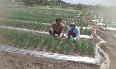 Bhabinkamtibmas-Desa-Bulang-Polsek-Prambon-bersama-Warga-Kompak-Jalankan-Program-Asta-Cita-Ketahanan-Pangan