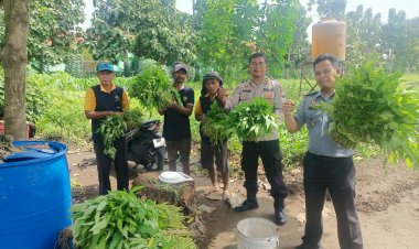 Polsek-Porong-bersama-Anggota-Lapas-Klas-1-Lakukan-Peninjauan-Program-Ketahanan-Pangan-di-Desa-Kebonagung
