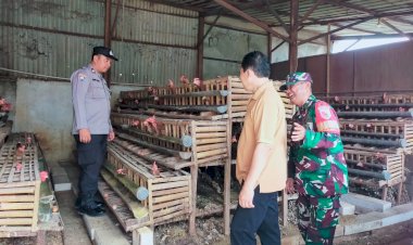 Sukseskan-Ketahanan-Pangan,-Bhabinkamtibmas-Pademonegoro-Edukasi-Peternak-Ayam-Petelur