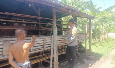 Bhabinkamtibmas-Polsek-Porong-Tinjau-Ketahanan-Pangan-Warga-Ternak-Kambing-di-Kebakalan