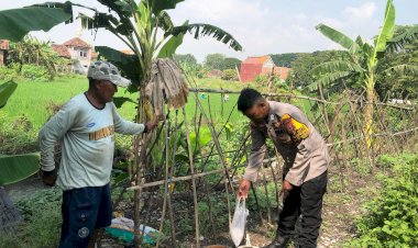 Bhabinkamtibmas-Semambung-Bantu-Petani-Wujudkan-Ketahanan-Pangan-Polresta-Sidoarjo