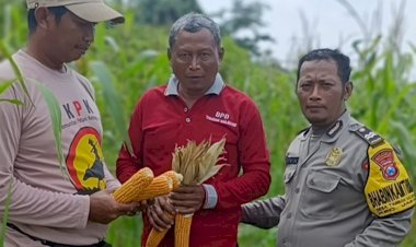 Bhabinkamtibmas-Aiptu-Kokoh-Yugo-Dorong-Ketahanan-Pangan-Perkebunan-Desa-Tambak-Kalisogo