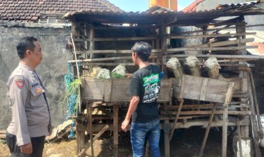 Polisi-Penggerak-Ketahanan-Pangan-Imbau-Warga-Sentul-Jaga-Kebersihan-Kandang-Kambing