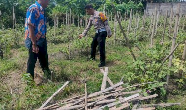Bhabinkamtibmas-Dampingi-Warga-Rawat-Pekarangan-Bergizi