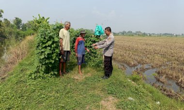Polsek-Porong-Tinjau-Program-P2B-di-Lahan-Sungai-Desa-Lajuk,-Dukung-Ketahanan-Pangan