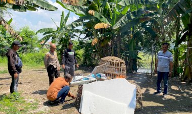 Dapatkan-Laporan-Masyarakat,-Polsek-Sedati-Datangi-Tempat-Perjudian-Sabung-Ayam