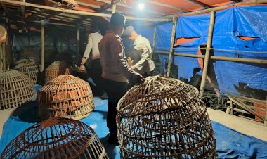 Polres-Lamongan-Bongkar-Arena-Judi-Sabung-Ayam-di-Dua-Lokasi