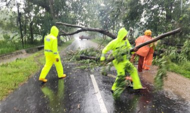 Respon-Cepat-Polisi-dan-BPBD-Evakuasi-Pohon-Tumbang,-Jalur-Magetan-–-Bendo-Kembali-Lancar