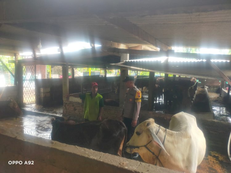 Bhabinkamtibmas Pertapan Maduretno Sambangi Warga Peternak Sapi untuk Dukung Ketahanan Pangan
