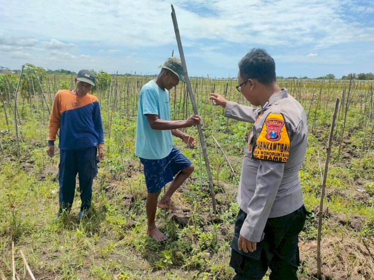 Bhabinkamtibmas Desa Wonoplintahan Laksanakan Pengecekan Lahan P2B