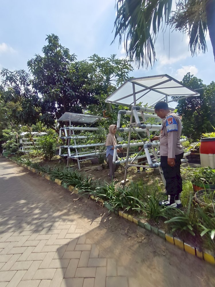 Bhabinkamtibmas Desa Sumorame Bersinergi dengan Ketua Bumdes Giatkan Tanaman Sawi Hidroponik