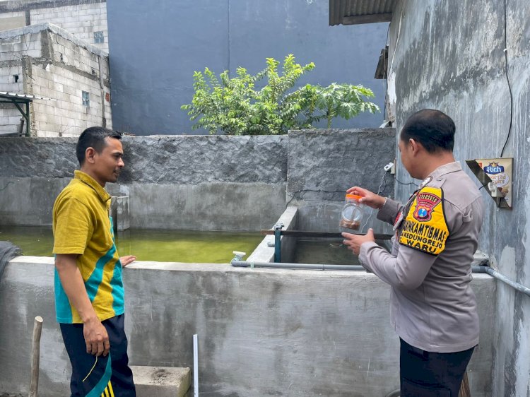 Bhabinkamtibmas Desa Kedungrejo Polsek Waru Tingkatkan Ketahanan Pangan Dampingi Warga Budidaya Ikan Patin