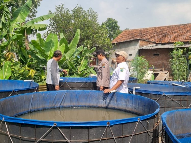 Bhabinkamtibmas Kedungturi Tinjau Pemanfaatan Lahan Ketahanan Pangan Polresta Sidoarjo untuk Pembesaran Lele