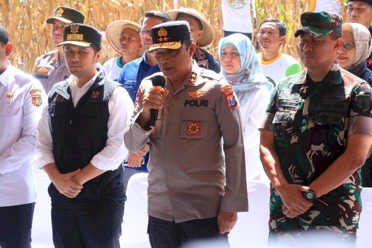 Dukung Swasembada Pangan, Kapolda Jatim Bersama Forkopimda Panen Raya Jagung Kuartal II di Ngawi