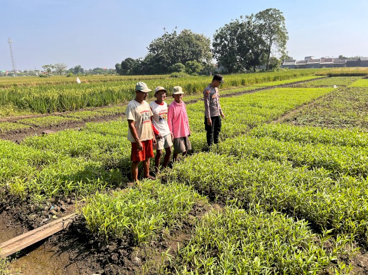 Bhabinkamtibmas Lemujut Dukung P2B Petani Desa
