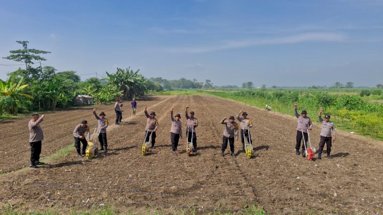 Polresta Sidoarjo dan Polsek Balongbendo Sinergi Perkuat Ketahanan Pangan Lewat Penanaman Jagung