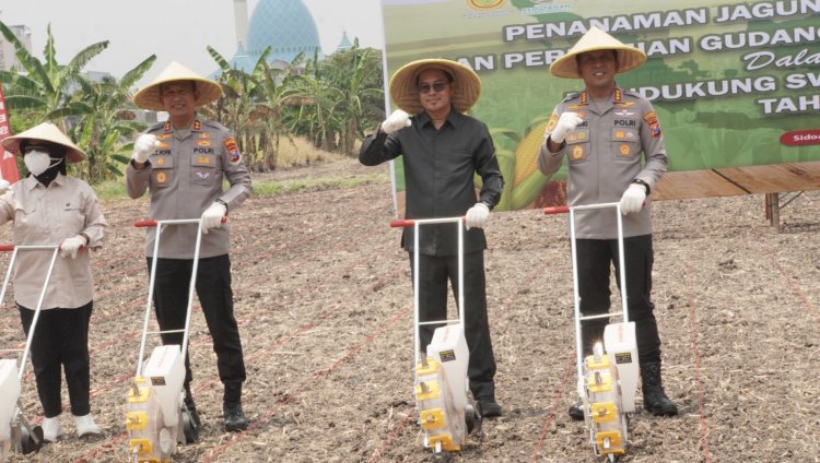 Dukung Swasembada Pangan, Polresta Sidoarjo Tanam Jagung Kuartal IV