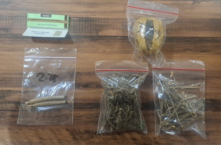 Polrestabes Surabaya Ungkap Narkoba Amankan Tersangka Pengedar Ganja